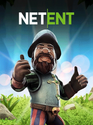 NetGames Ent